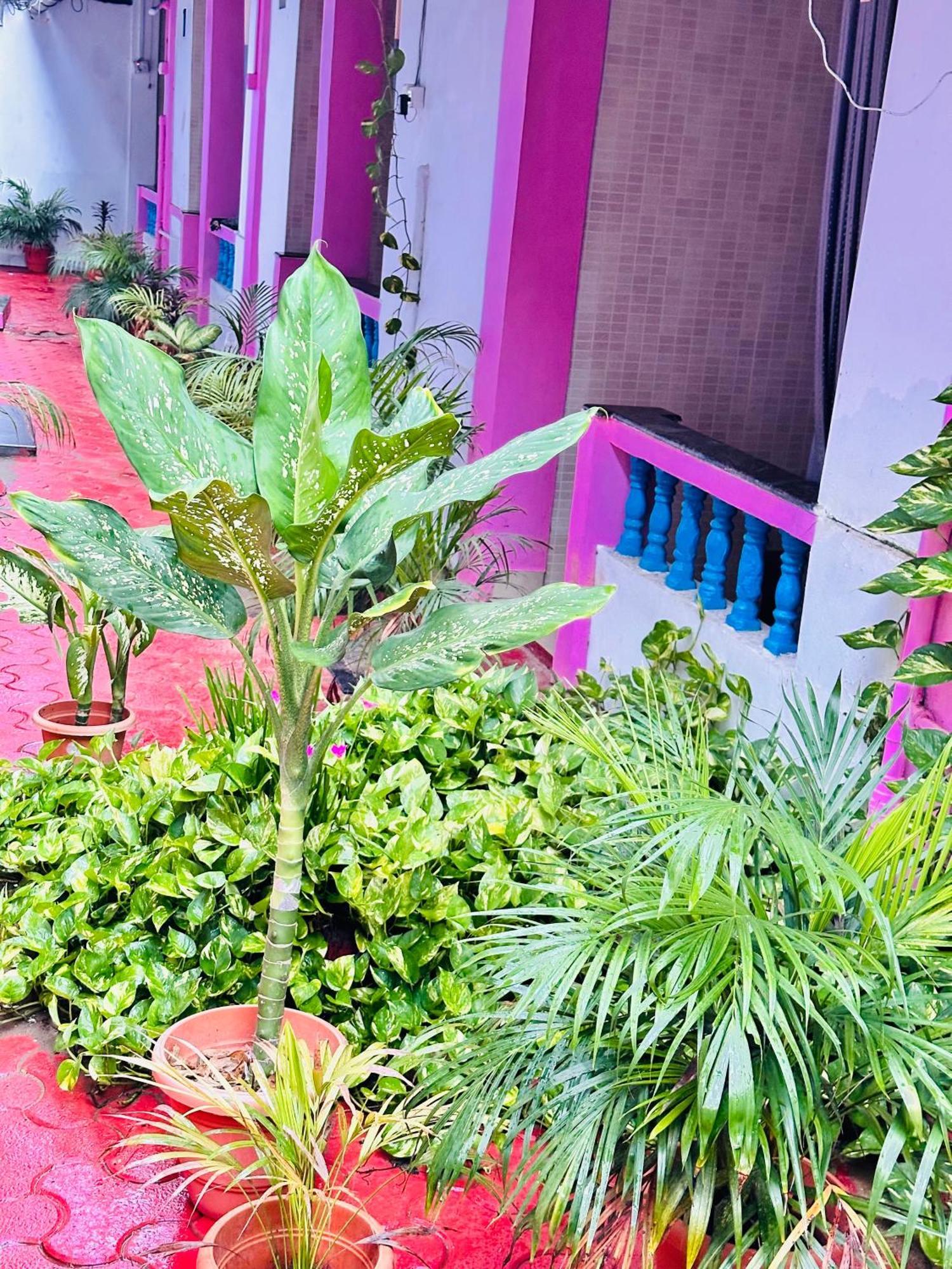 Blue Mirage Palolem Goa Canacona Exterior foto